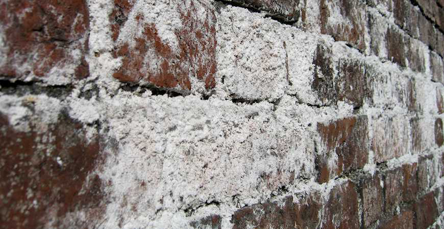 Read more about the article White Stains On My Chimney? What Is Efflorescence?