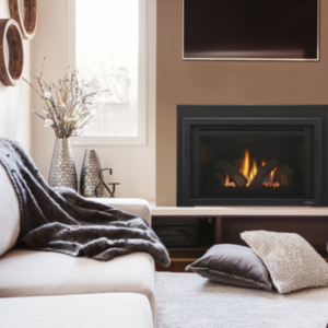 Heath & Glo – Provident Gas Fireplace Insert